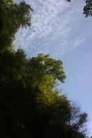 DSC00400.jpg